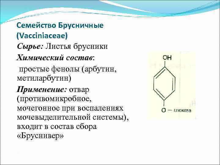 Семейство Брусничные (Vacciniaceae) Сырье: Листья брусники Химический состав: простые фенолы (арбутин, метиларбутин) Применение: отвар