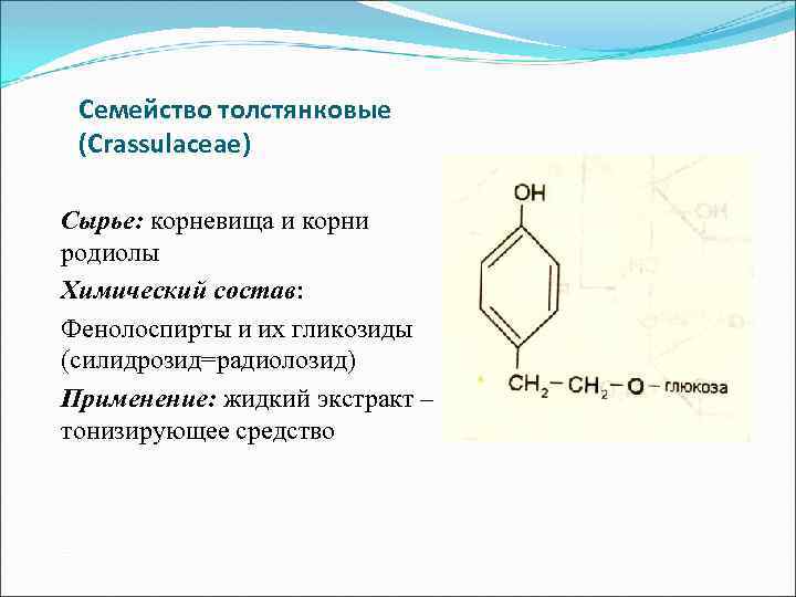 Семейство толстянковые (Сrassulaceae) Сырье: корневища и корни родиолы Химический состав: Фенолоспирты и их гликозиды