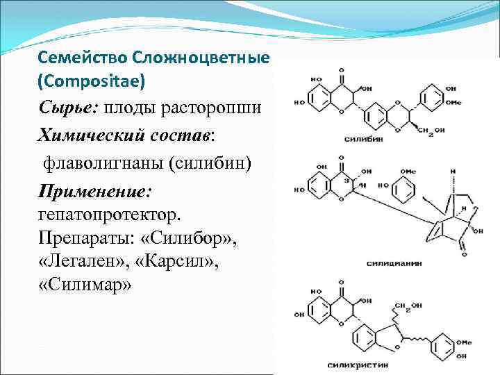 Семейство Сложноцветные (Соmpositae) Сырье: плоды расторопши Химический состав: флаволигнаны (силибин) Применение: гепатопротектор. Препараты: «Силибор»