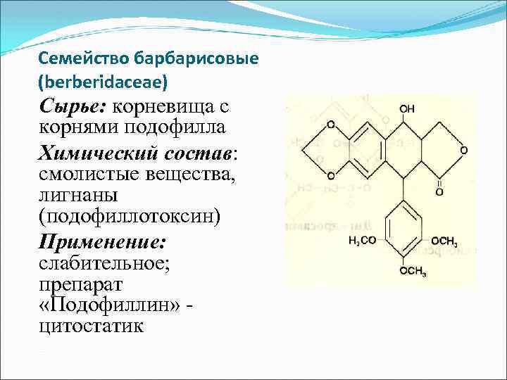 Семейство барбарисовые (berberidaceae) Сырье: корневища c корнями подофилла Химический состав: смолистые вещества, лигнаны (подофиллотоксин)