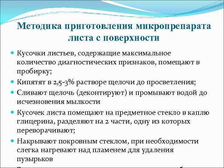 Методика приготовления микропрепарата листа с поверхности Кусочки листьев, содержащие максимальное количество диагностических признаков, помещают