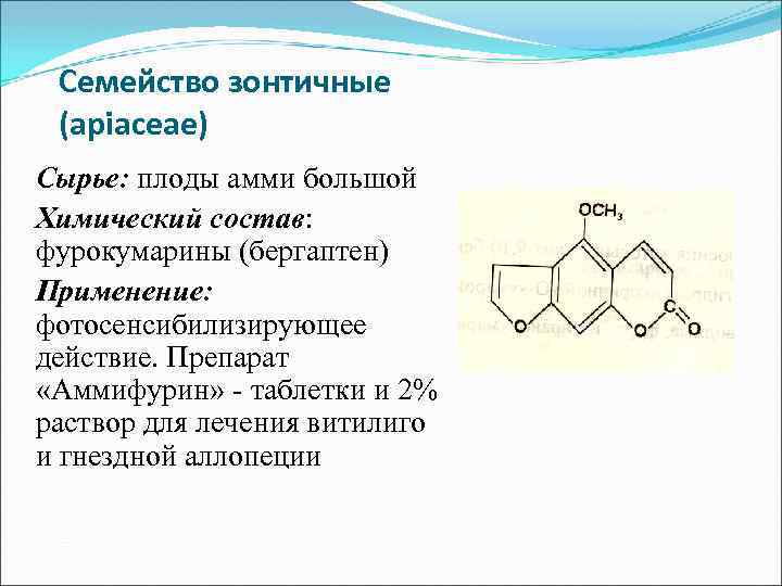 Семейство зонтичные (apiaceae) Сырье: плоды амми большой Химический состав: фурокумарины (бергаптен) Применение: фотосенсибилизирующее действие.
