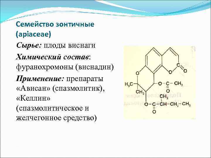 Семейство зонтичные (apiaceae) Сырье: плоды виснаги Химический состав: фуранохромоны (виснадин) Применение: препараты «Ависан» (спазмолитик),