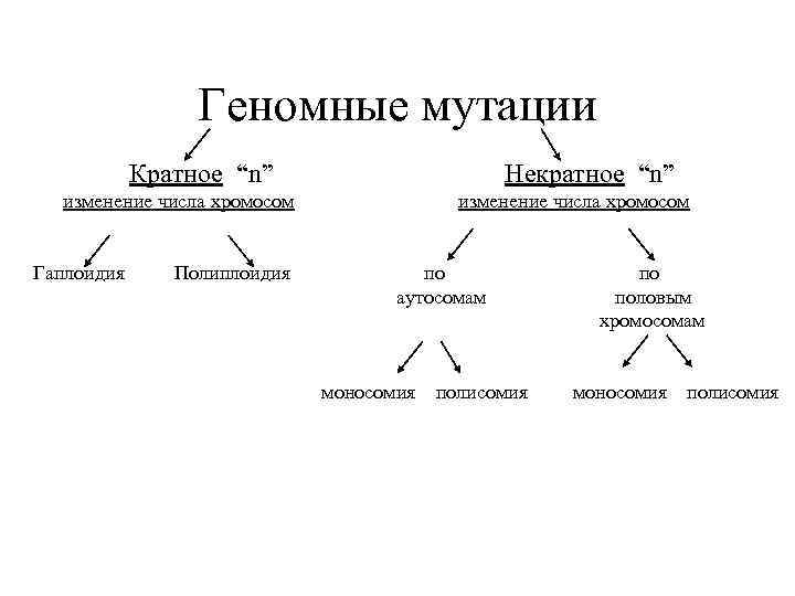 Изменение числа хромосом какая изменчивость