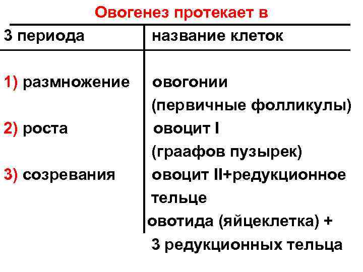 Овогенез протекает в 3 периода название клеток 1) размножение 2) роста 3) созревания овогонии