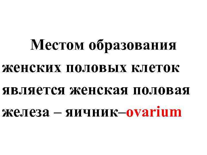 Местом образования женских половых клеток является женская половая железа – яичник–ovarium 