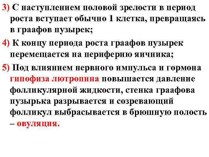 3) С наступлением половой зрелости в период роста вступает обычно 1 клетка, превращаясь в