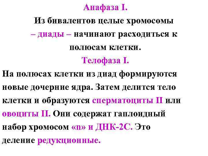 Анафаза I. Из бивалентов целые хромосомы – диады – начинают расходиться к полюсам клетки.