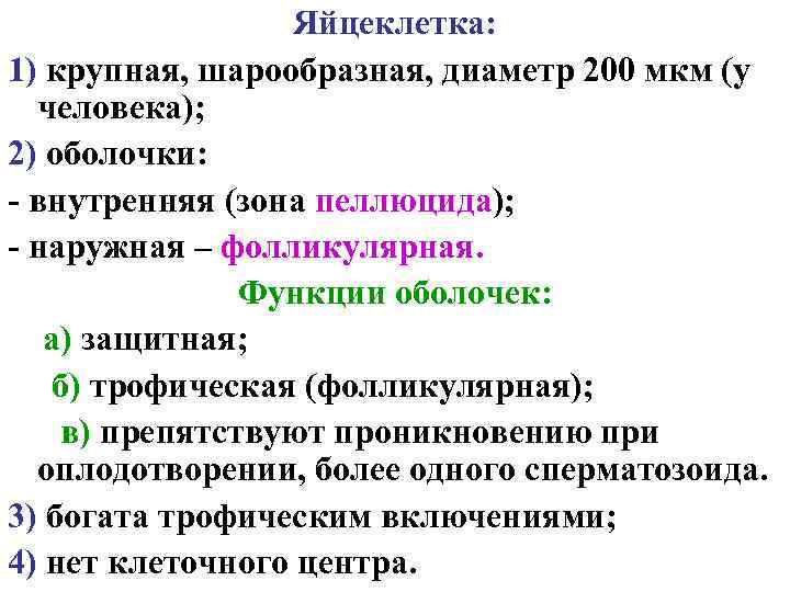 Яйцеклетка: 1) крупная, шарообразная, диаметр 200 мкм (у человека); 2) оболочки: - внутренняя (зона
