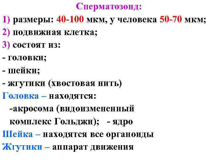 Сперматозоид: 1) размеры: 40 -100 мкм, у человека 50 -70 мкм; 2) подвижная клетка;