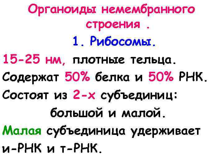 Органоиды немембранного строения. 1. Рибосомы. 15 -25 нм, плотные тельца. Содержат 50% белка и