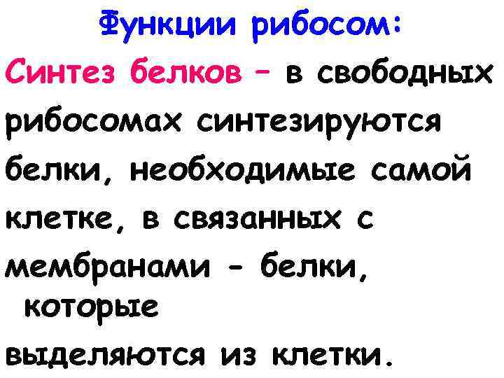 Функции рибосом: Синтез белков – в свободных рибосомах синтезируются белки, необходимые самой клетке, в