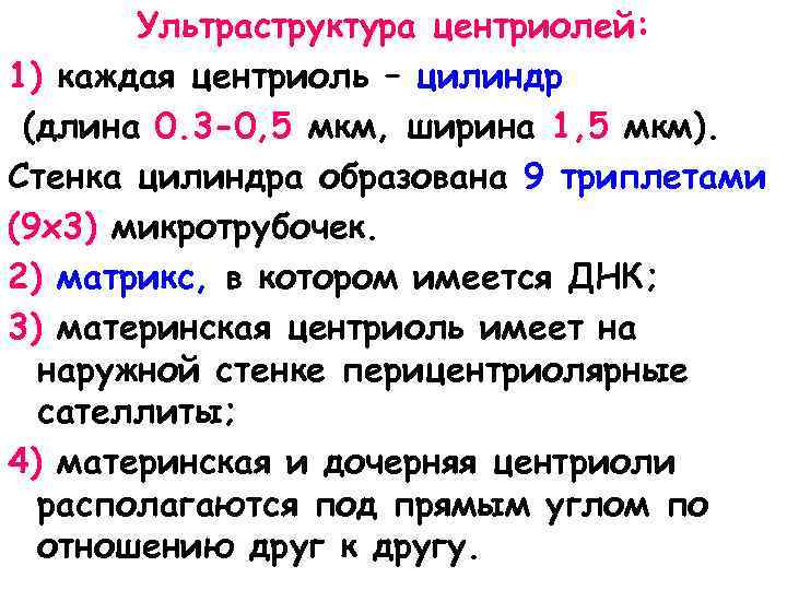 Ультраструктура центриолей: 1) каждая центриоль – цилиндр (длина 0. 3 -0, 5 мкм, ширина