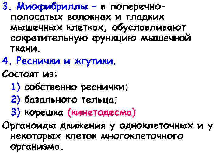 3. Миофибриллы – в поперечнополосатых волокнах и гладких мышечных клетках, обуславливают сократительную функцию мышечной