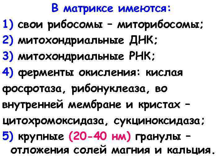 В матриксе имеются: 1) свои рибосомы – миторибосомы; 2) митохондриальные ДНК; 3) митохондриальные РНК;