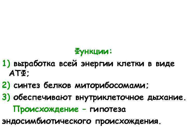 Функции: 1) выработка всей энергии клетки в виде АТФ; 2) синтез белков миторибосомами; 3)