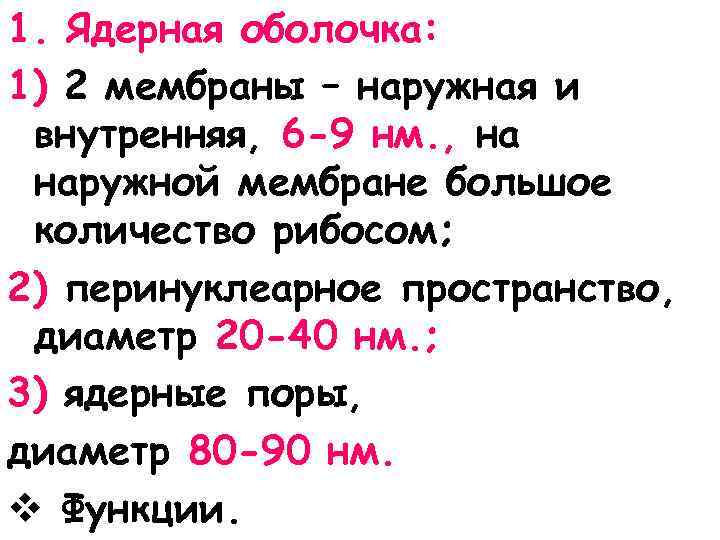 1. Ядерная оболочка: 1) 2 мембраны – наружная и внутренняя, 6 -9 нм. ,
