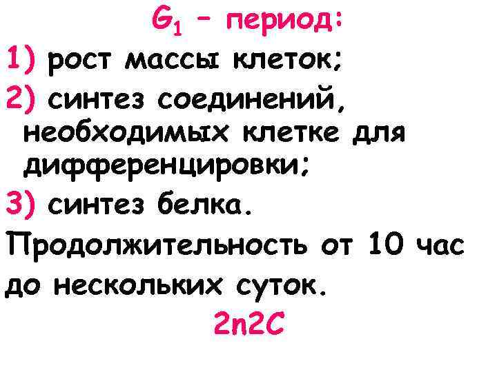G 1 – период: 1) рост массы клеток; 2) синтез соединений, необходимых клетке для