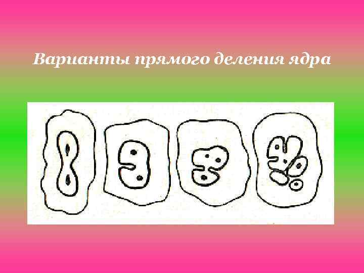 Варианты прямого деления ядра 