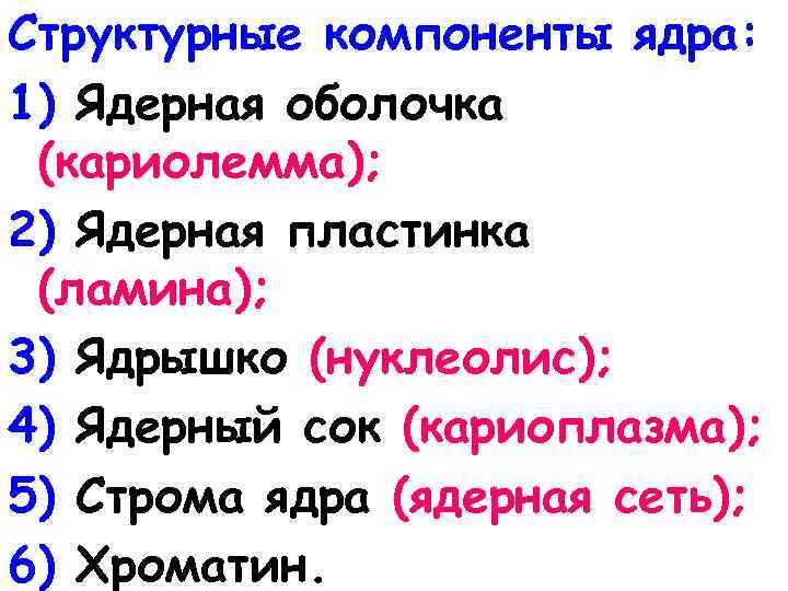 Структурные компоненты ядра: 1) Ядерная оболочка (кариолемма); 2) Ядерная пластинка (ламина); 3) Ядрышко (нуклеолис);