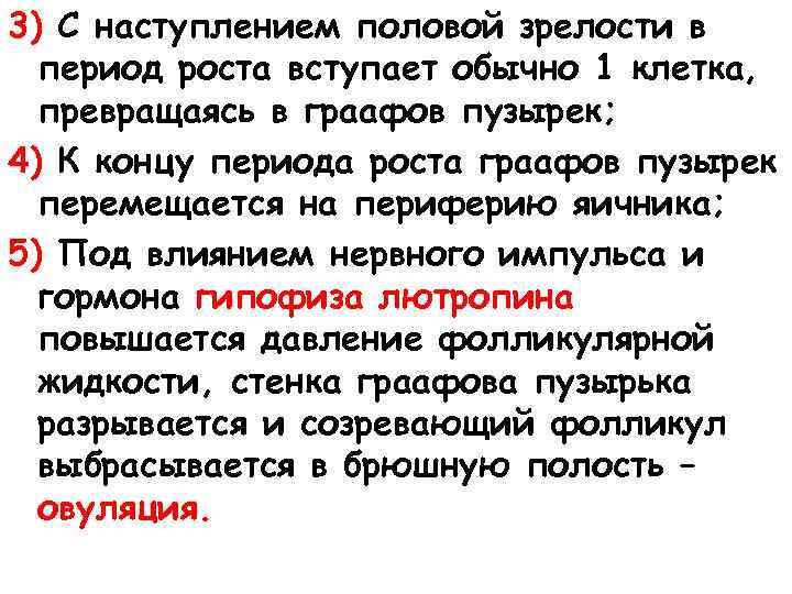 3) С наступлением половой зрелости в период роста вступает обычно 1 клетка, превращаясь в