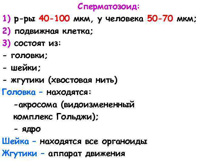Сперматозоид: 1) р-ры 40 -100 мкм, у человека 50 -70 мкм; 2) подвижная клетка;