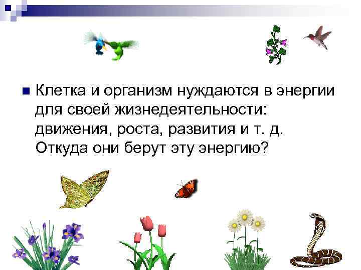 n Клетка и организм нуждаются в энергии для своей жизнедеятельности: движения, роста, развития и