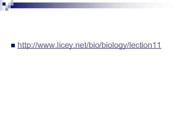 n http: //www. licey. net/biology/lection 11 