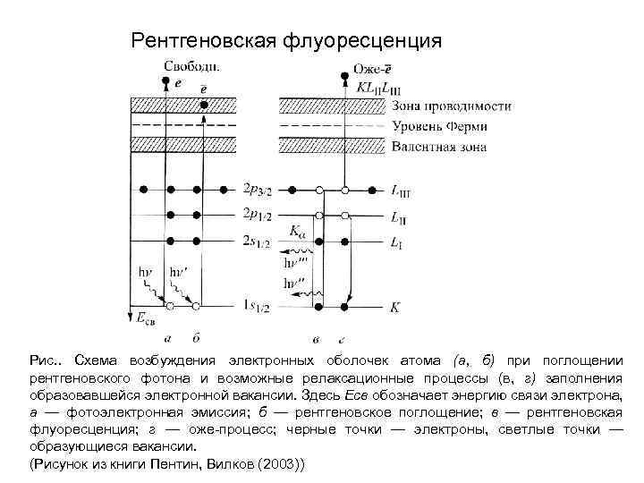 Рентгеновская флуоресценция Рис. . Схема возбуждения электронных оболочек атома (а, б) при поглощении рентгеновского