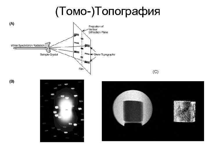 (Томо )Топография (С) 