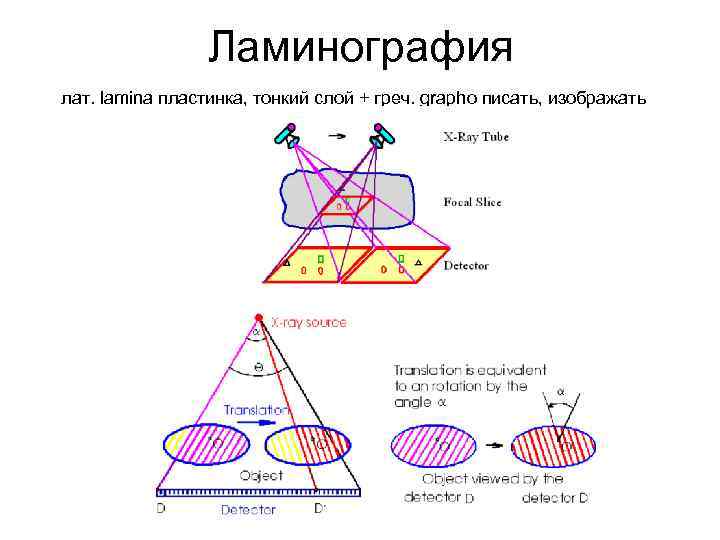 Ламинография лат. lamina пластинка, тонкий слой + греч. grapho писать, изображать 