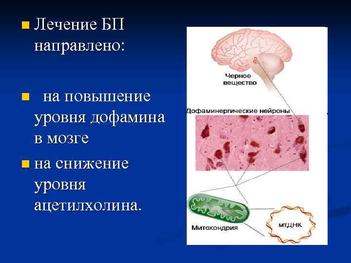 n Лечение БП направлено: на повышение уровня дофамина в мозге n на снижение уровня