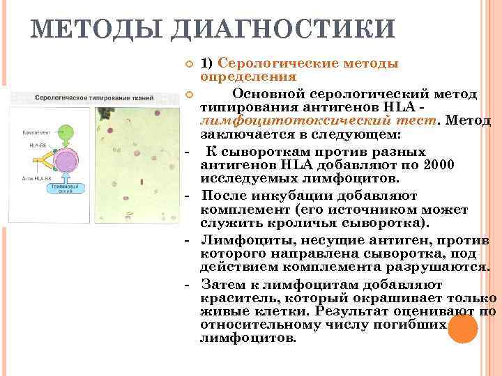 МЕТОДЫ ДИАГНОСТИКИ - 1) Серологические методы определения Основной серологический метод типирования антигенов HLA лимфоцитотоксический