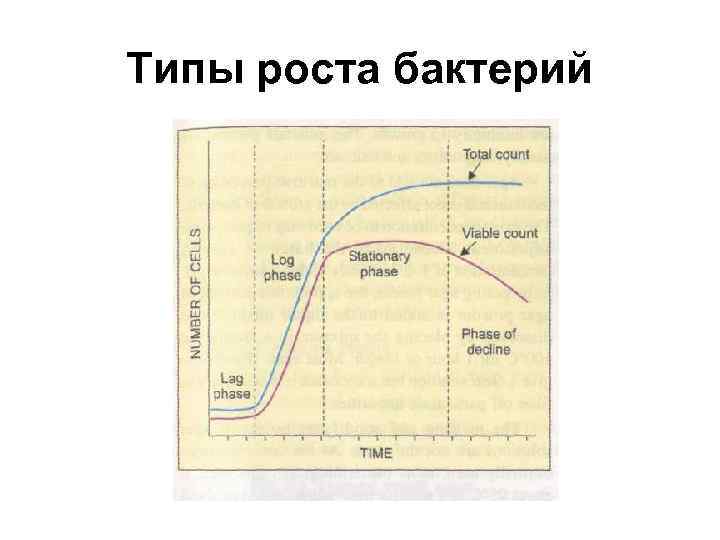 Типы роста бактерий 