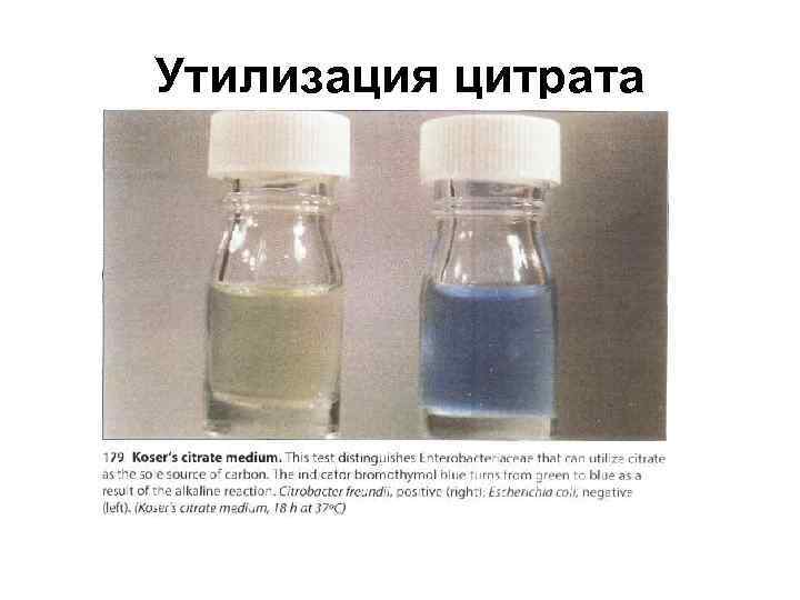 Утилизация цитрата 