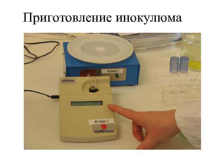 Приготовление инокулюма 