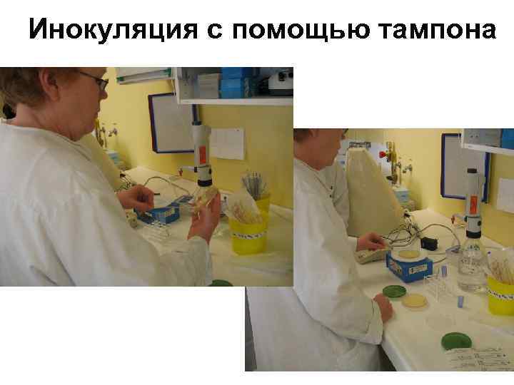 Инокуляция с помощью тампона 