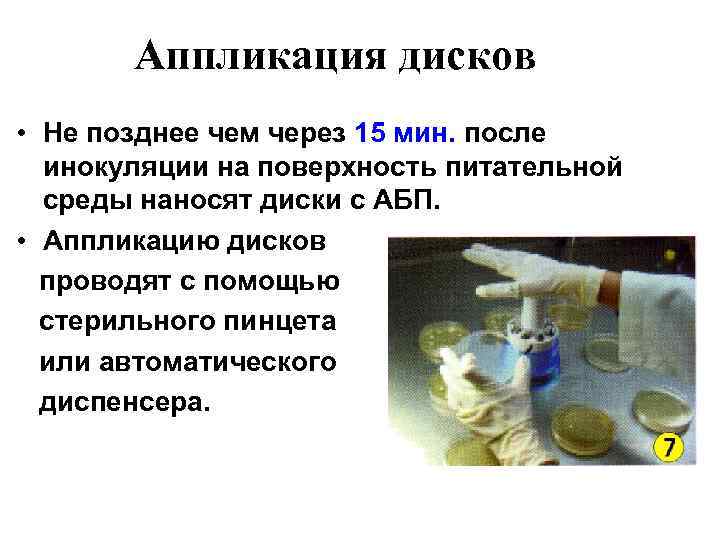 Аппликация дисков • Не позднее чем через 15 мин. после инокуляции на поверхность питательной