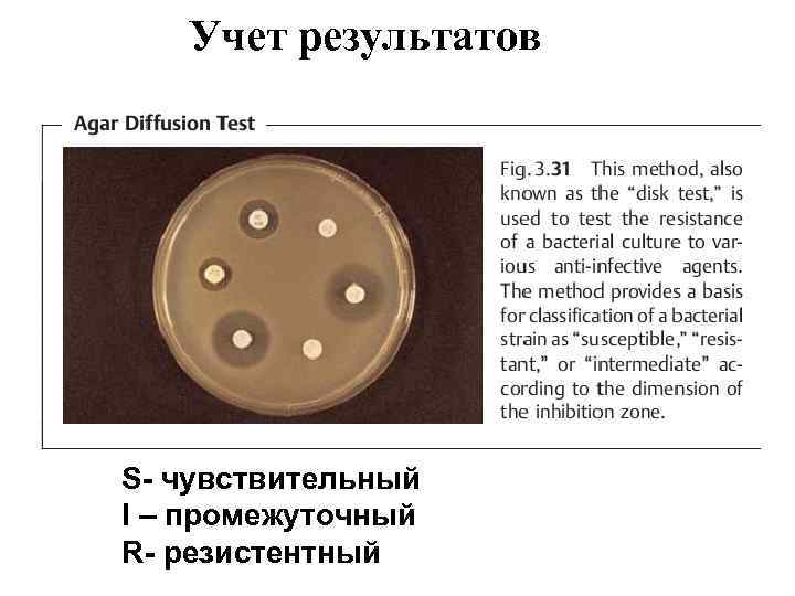 Учет результатов S- чувствительный I – промежуточный R- резистентный 