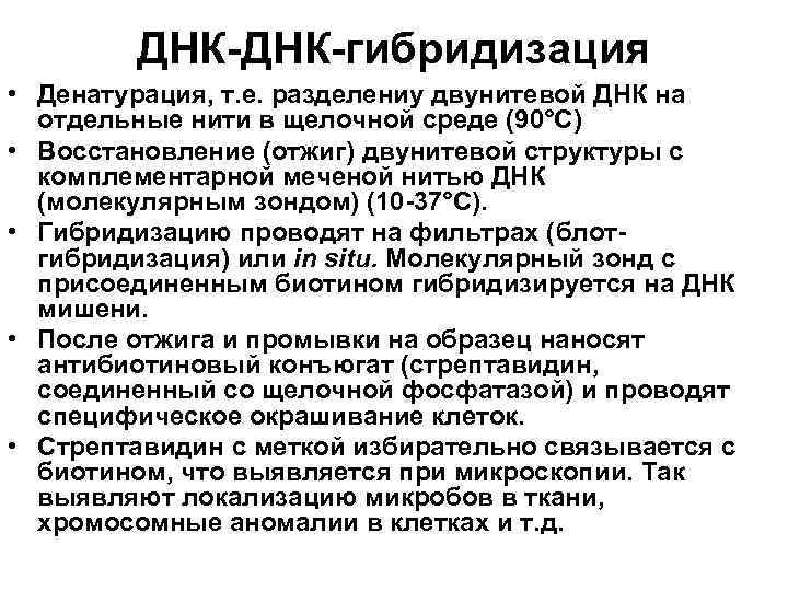 ДНК-гибридизация • Денатурация, т. е. разделениу двунитевой ДНК на отдельные нити в щелочной среде
