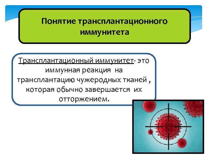 Понятие трансплантационного иммунитета Трансплантационный иммунитет- это иммунная реакция на трансплантацию чужеродных тканей , которая