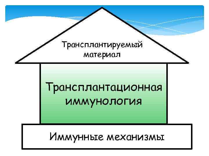 Трансплантируемый материал Трансплантационная иммунология Иммунные механизмы 