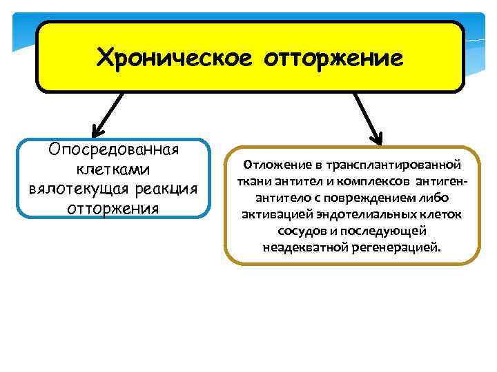 Хроническое отторжение Опосредованная клетками вялотекущая реакция отторжения Отложение в трансплантированной ткани антител и комплексов