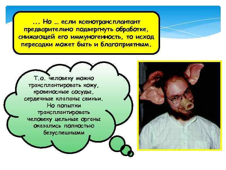 . . . Но … если ксенотрансплантант предварительно подвергнуть обработке, снижающей его иммуногенность, то