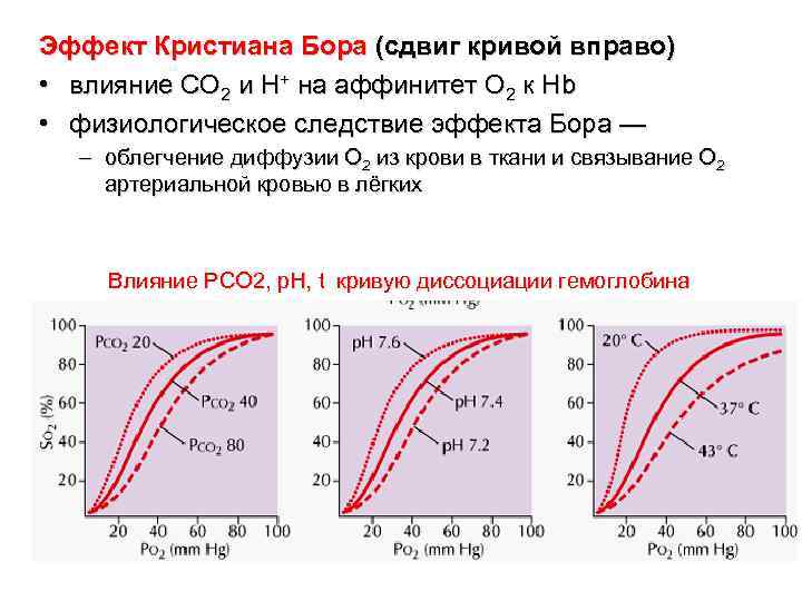 Эффект Кристиана Бора (сдвиг кривой вправо) • влияние CO 2 и H+ на аффинитет