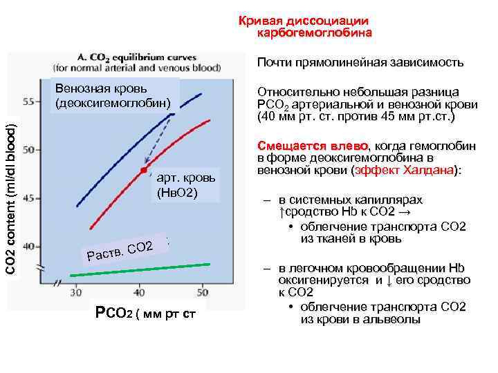 Кривая диссоциации карбогемоглобина • CO 2 content (ml/dl blood) арт. кровь (Нв. О 2)