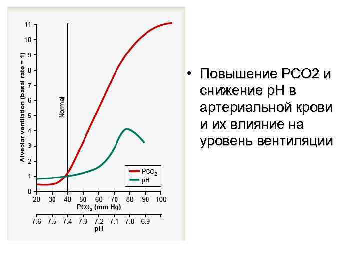  • Повышение PCO 2 и снижение p. H в артериальной крови и их