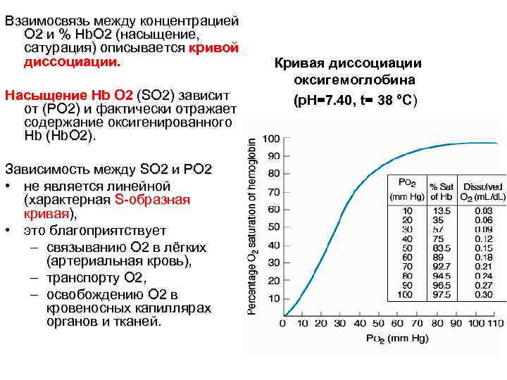 Взаимосвязь между концентрацией О 2 и % Hb. O 2 (насыщение, сатурация) описывается кривой