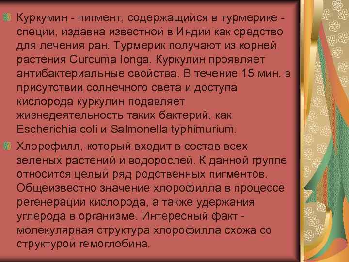 Куркумин пигмент, содержащийся в турмерике специи, издавна известной в Индии как средство для лечения