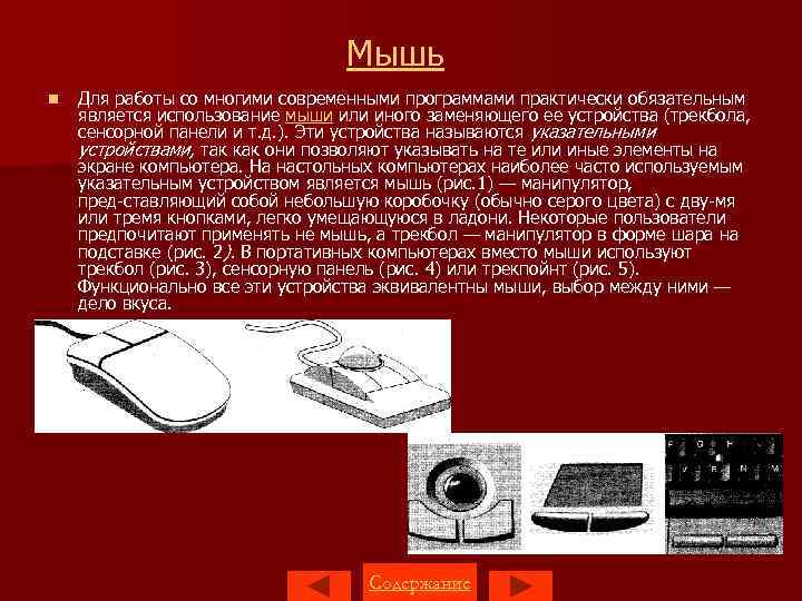 Мышь n Для работы со многими современными программами практически обязательным является использование мыши или